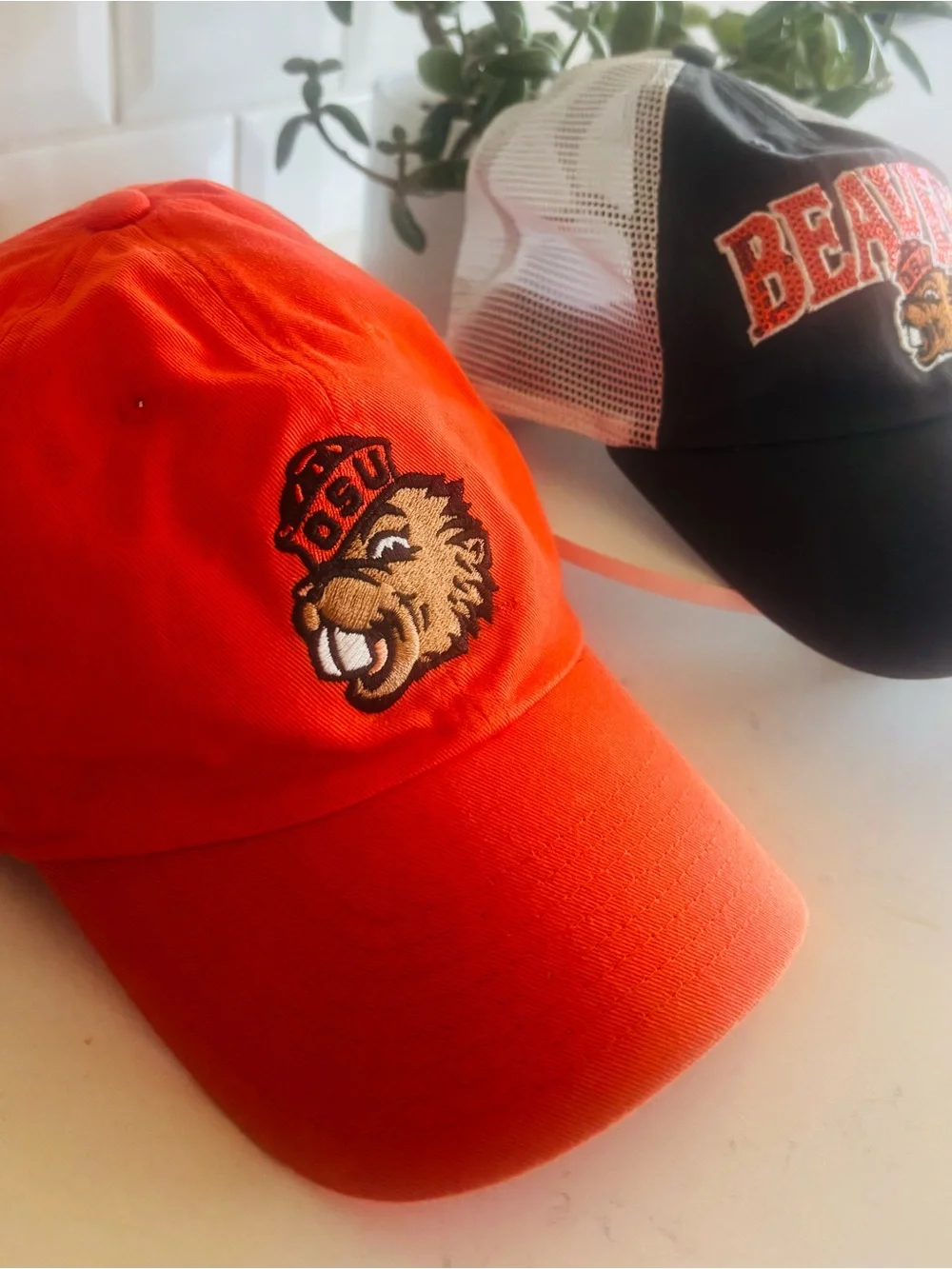 Set of 2 adjustable Oregon State University hats🧡🖤🦫
